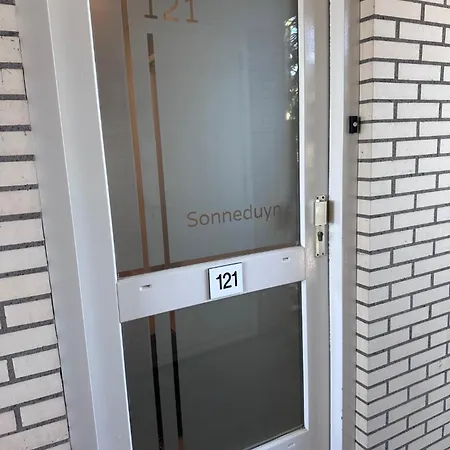 Strandappartement Sonneduyn דירה *